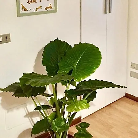 Apartment Vacanze Berton Tirano